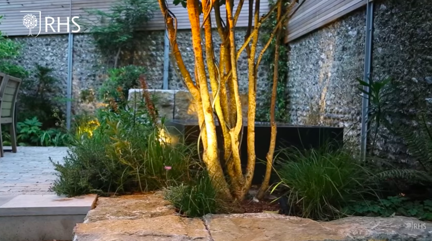 <p>'When the sun goes down, the garden transforms and when you don't have much space you need to make the most of it,' says Andy.</p><p>So what garden lighting tips can we learn here?</p><p>'I’ve got down lighters on the trees and shrubs casting a warm glow over the paving, uplighters on the trunks turning them into living sculptures, and then there are wall washers grazing the flints and picking out the rough texture of the walls,' he explains.</p><p>And there's more – among the planting there are small spotlights creating a romantic glow and, what Andy's describes as his 'favourite trick', is a light shining down onto the water surface which projects the ripples up onto the surrounding walls.</p>