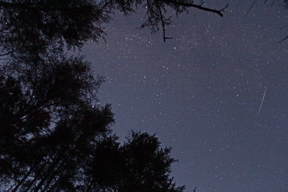 A meteor streaks over Fort Mountain State Park in Georgia in this photo captured by skywatcher James L. Brown, Jr. The annual Leonid meteor shower will peak overnight on Monday and Tuesday (Nov. 17 and 18).