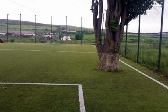 The football pitch, complete with tree.