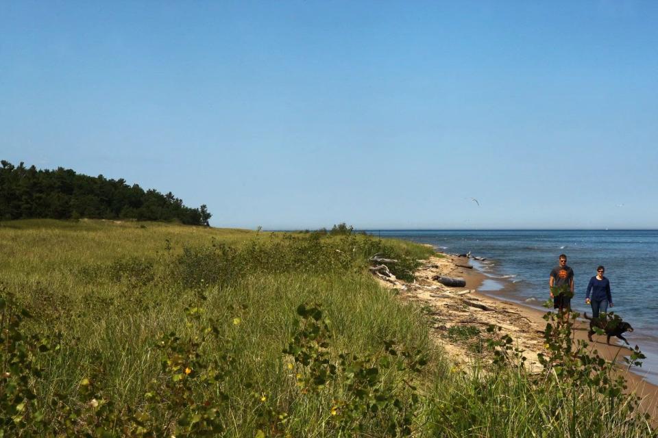 A coastal wetland along Lake Michigan in Sheboygan County.