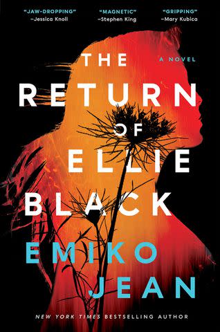 <p>courtesy</p> 'The Return of Ellie Black' by Emiko Jean