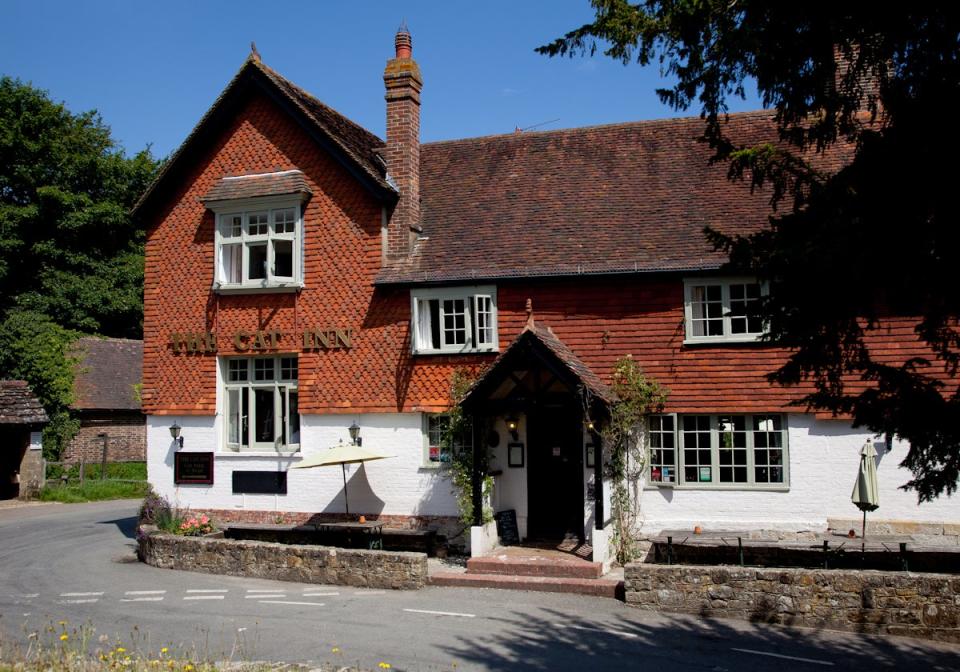 The Cat Inn, Sussex (The Cat, Sussex)