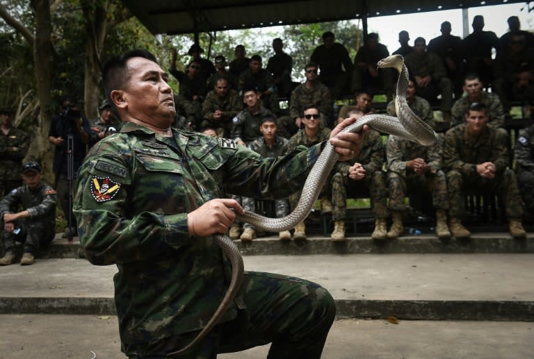 Now in its 37th year, Cobra Gold is one of the largest military exercises in Asia