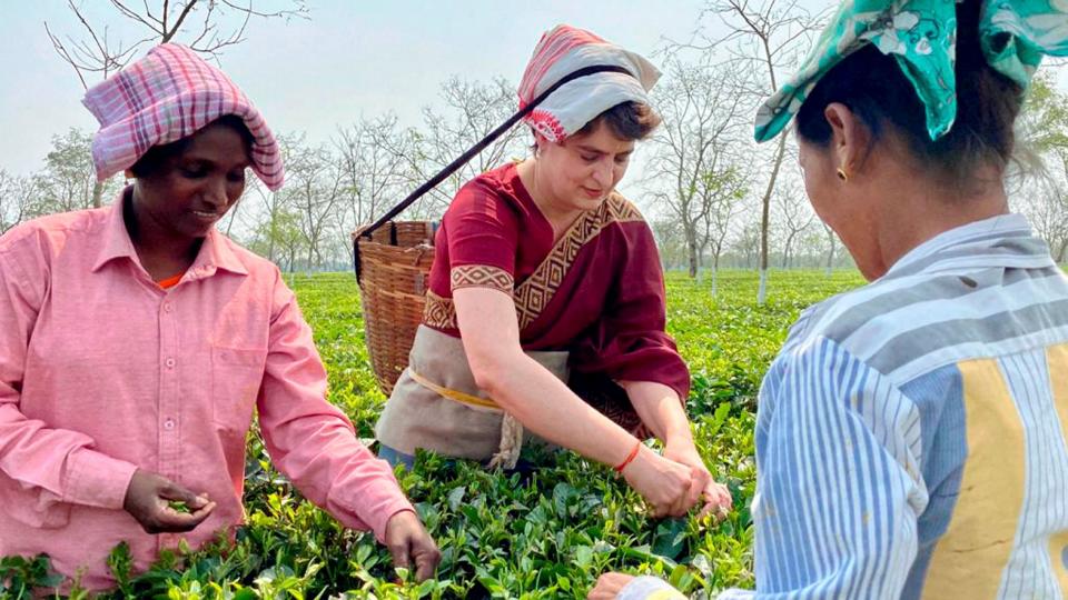 All India Congress Committee (AICC) General Secretary Priyanka Gandhi Vadra joins tea workers at Sadhuru tea garden in Biswanath, Assam.