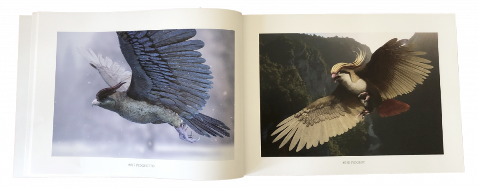 Realistic Pokemon Art Book Pages, Pidgey and evolutions