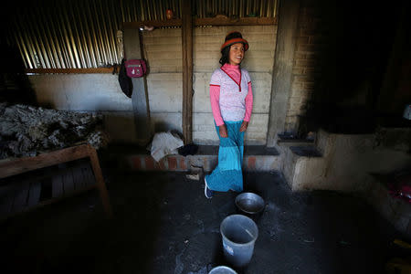 Margot Portilla stands in the kitchen of her home in the town of Nueva Fuerabamba in Apurimac, Peru, October 3, 2017. REUTERS/Mariana Bazo