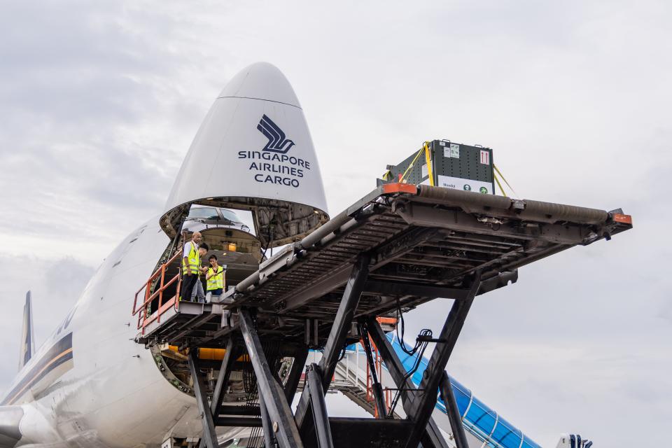 Le Le's crate was loaded through the nose of SIA's Boeing 747-400F freighter aircraft.