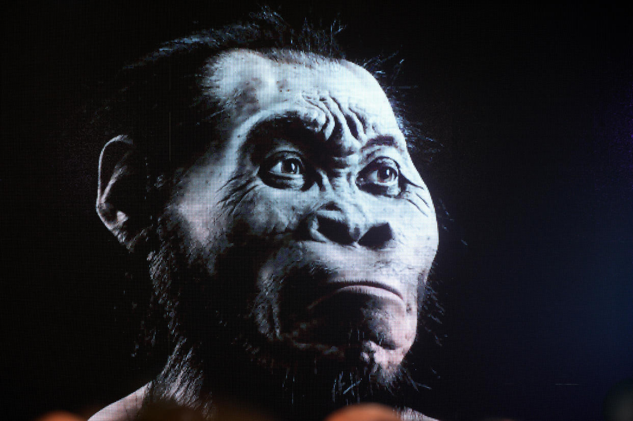 The discovery of a new species of human relative, Homo naledi, was unveiled at The Cradle of Human Kind in South Africa in 2015. / Credit: Foto24/Getty