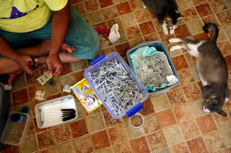 A groomer and medical technician of a cat shelter called "Rumah Kucing Parung" prepares vitamin and medicines for the cats in Bogor