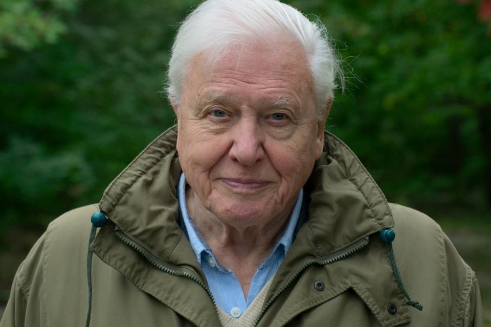 WWF-UK / David Attenborough: A L