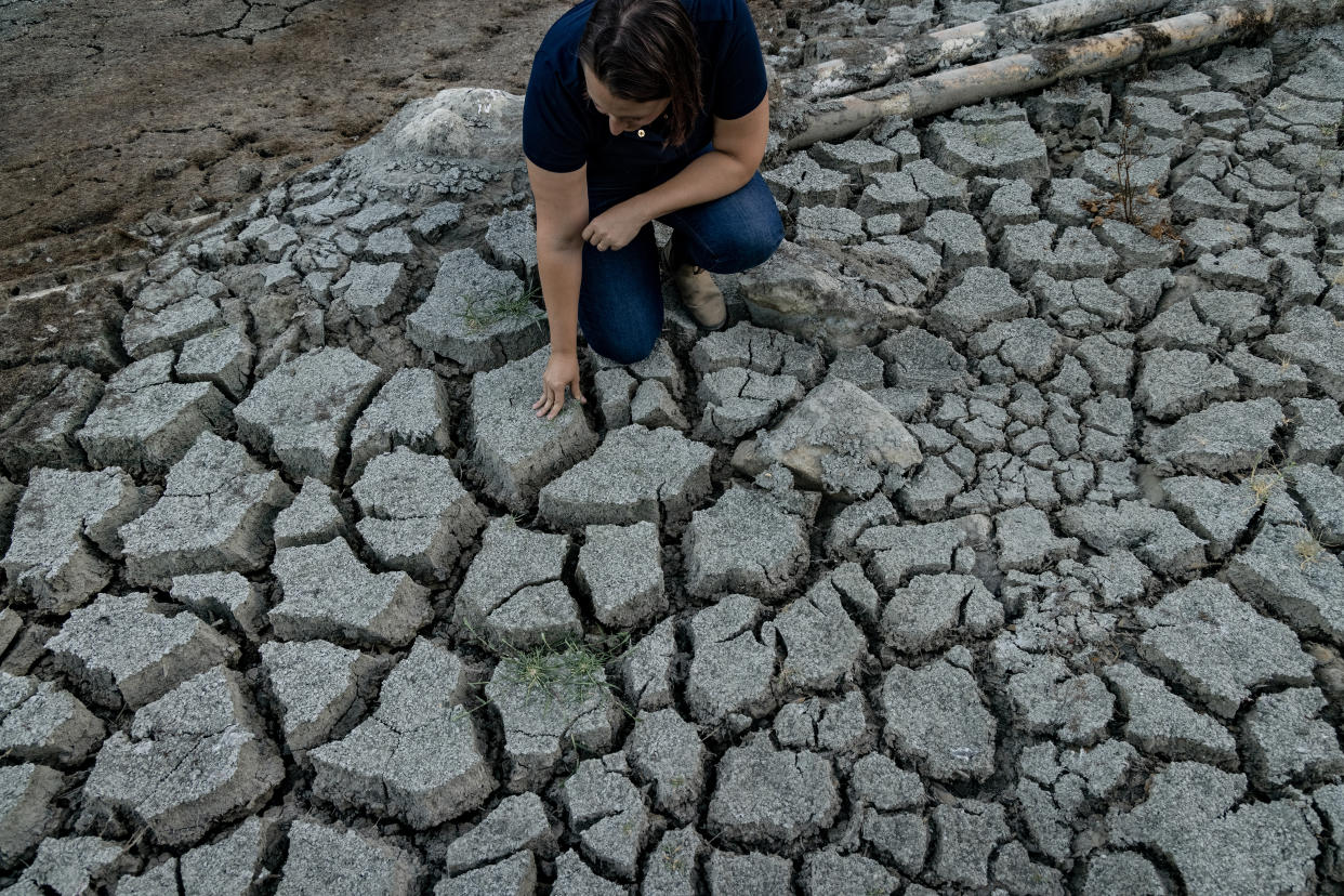 Laura Deyermond mira un embalse que se está secando en los Viñedos Newton, en St. Helena, California, el 23 de julio de 2021. (Rachel Bujalski/The New York Times).