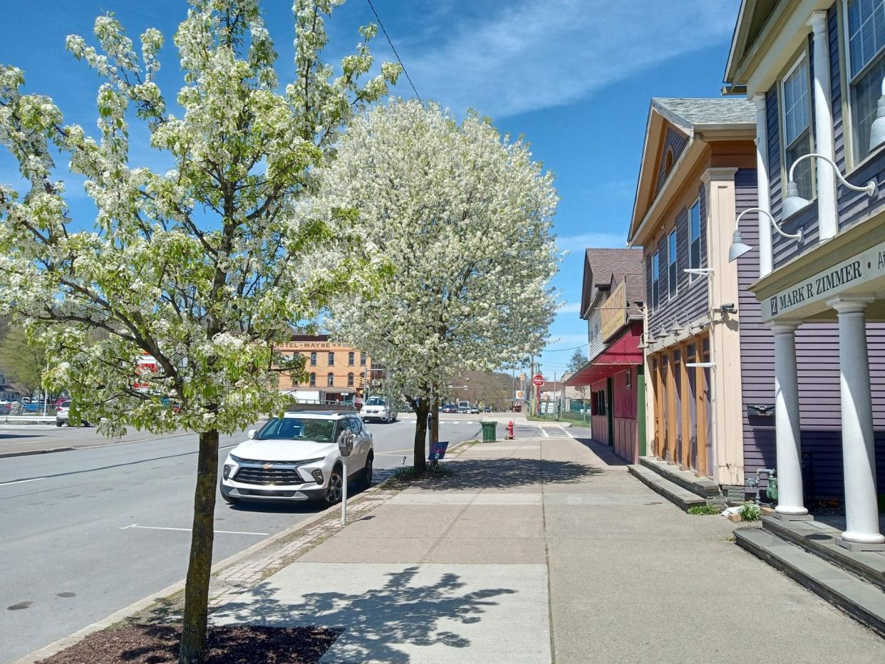 Greater Honesdale Partnership Executive Director Sandi Levens announced on April 26, 2024, the awarding of a $1.3 million in federal funds to renovate Main Street from 12th to 11th streets, shown here, with public safety and aesthetic improvements.