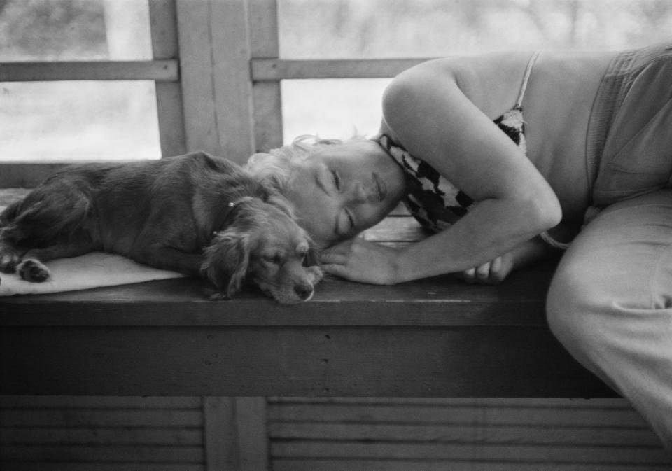 <p>Marilyn cuddled with a small dog on the set during the filming of <em>The Misfits</em>. Her marriage to Miller dissolved later this year and was finalized in early 1961.</p>