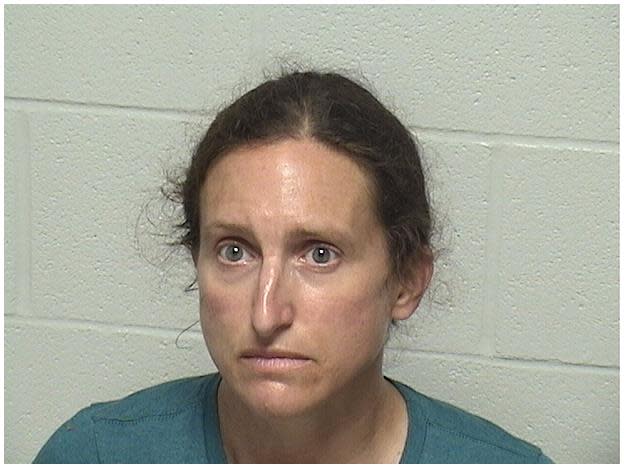 Chicago Public Schools teacher Elizabeth H. Mach, 45, of Highland Park, was arrested at her home Wednesday in connection with a June 16 incident at a Costco in Mettawa, authorities said. (LCSO)