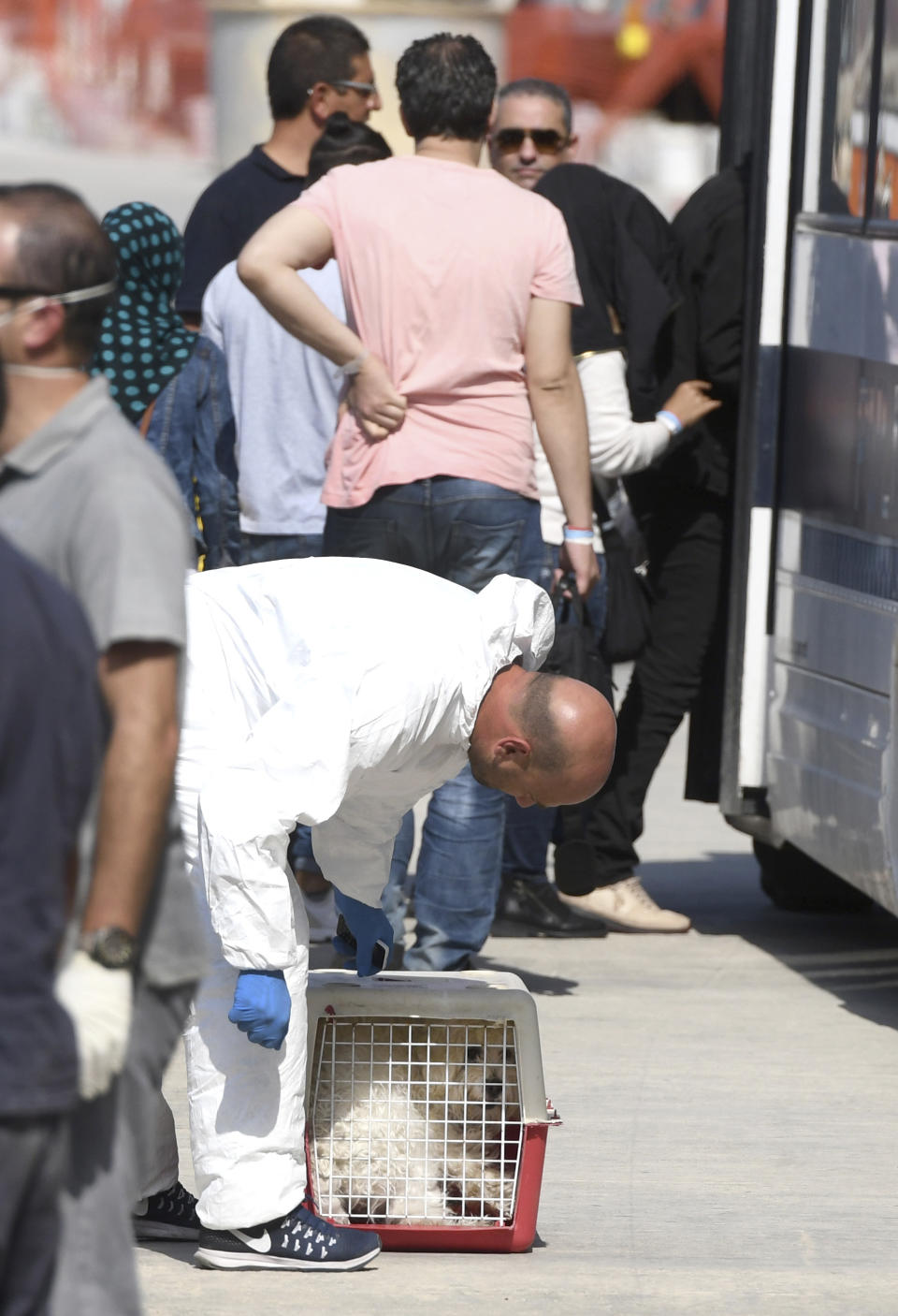 A dog sits in a cage after it was rescued at sea with migrants and transferred from a humanitarian ship to a Maltese naval vessel which docked earlier in the port of La Valletta, in Malta, Sunday, Sept. 30, 2018. The Maltese government said Sunday that the migrants would be then transferred in the coming days to the four countries agreeing to accept them: France, Germany, Spain and Portugal. (AP Photo/Jonathan Borg)