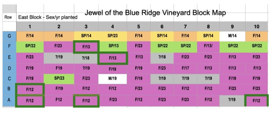 Pictured is a Jewel of the Blue Ridge vineyard block map.