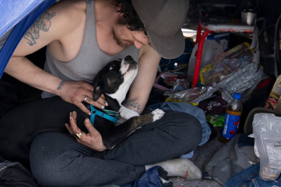 Kevin Reeves looks at his puppy while in his tent in Baker Park on Thursday, March 21, 2024, in Grants Pass, Ore. (AP Photo/Jenny Kane)