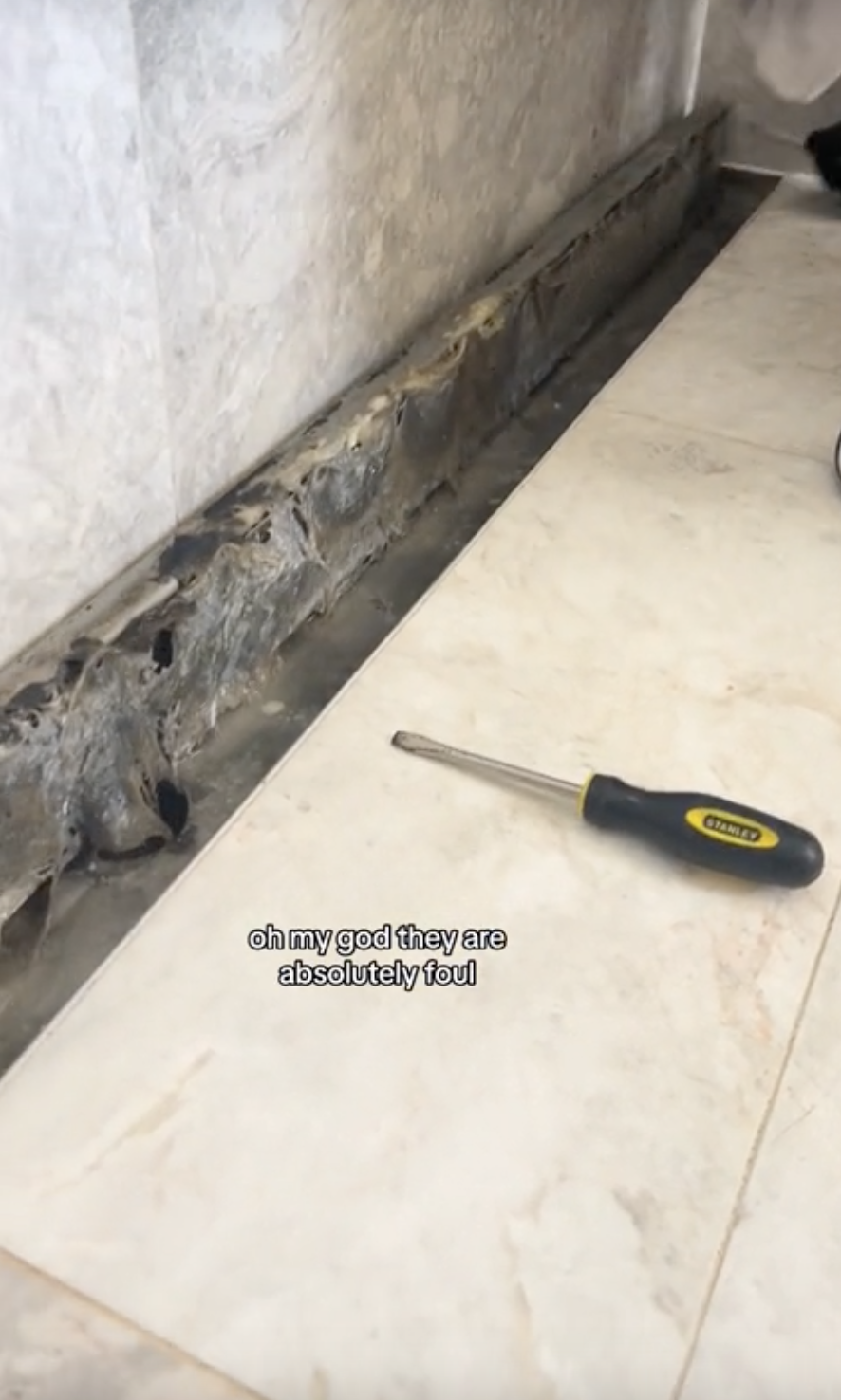 A screwdriver next to a clogged shower drain filled with hair and debris, with text expressing disgust