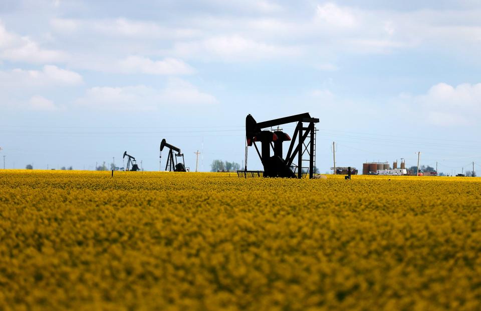 An oil pumper is pictured in a canola field near Hennessey.