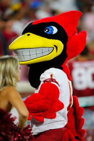 <p>Brian Bahr/Getty</p> Iowa State Mascot at Gaylord Family Oklahoma Memorial Stadium on Sept. 30