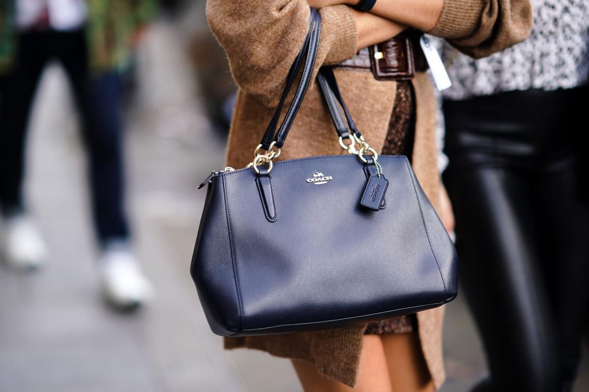 You can barely see this handbag. It just sold for almost $100,000
