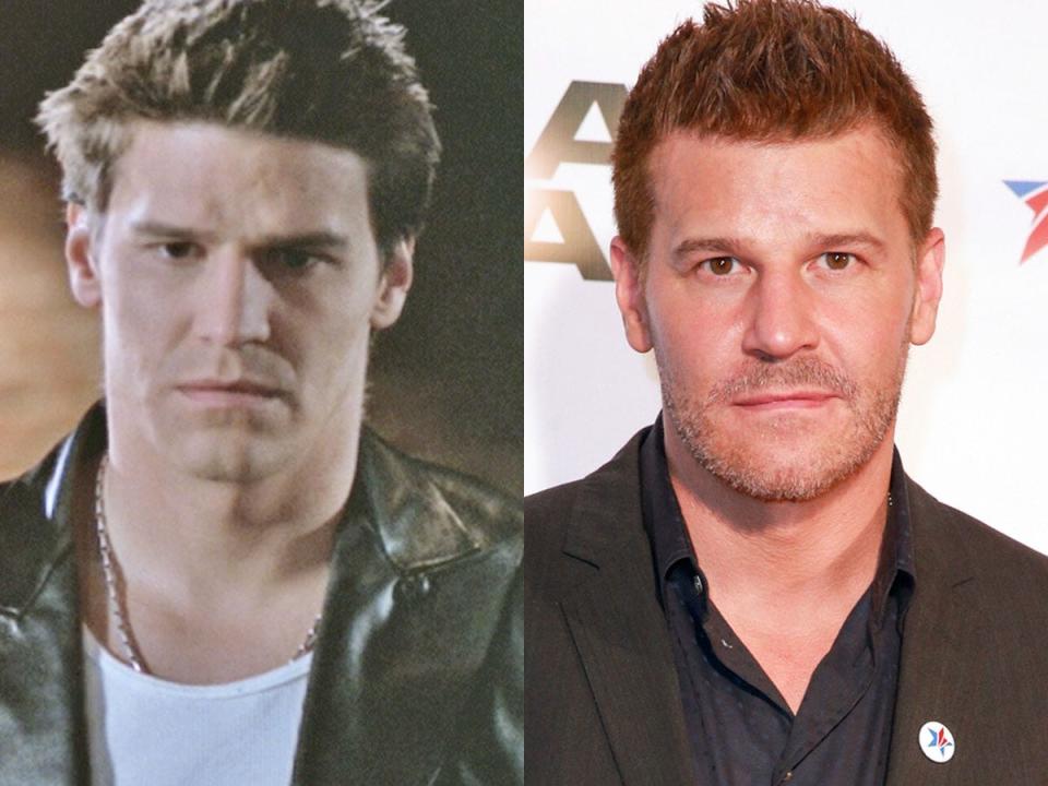 david boreanaz