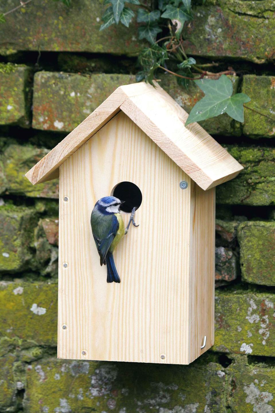 5. BUILD YOUR OWN BIRD HOUSE