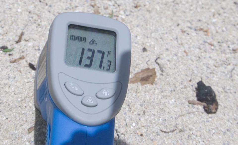 La arena en South Beach estaba entre 130 y 137 grados Fahrenheit el 21 de julio.