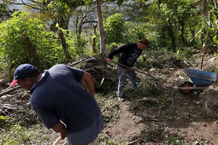 Cuban migrant Ismael Diaz, 46, an agricultural worker, (L) is pictured with Carlos Perez, 45, an economist, as they work on a private property in Paso Canoas on the border with Costa Rica March 22, 2016. REUTERS/Carlos Jasso