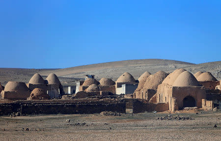 Domed mud houses are pictured southeast of Aleppo, Syria January 29, 2017. REUTERS/Ali Hashisho