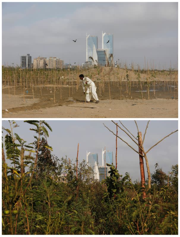 The Wider Image: Pakistanis plant trees to provide relief from scorching sun