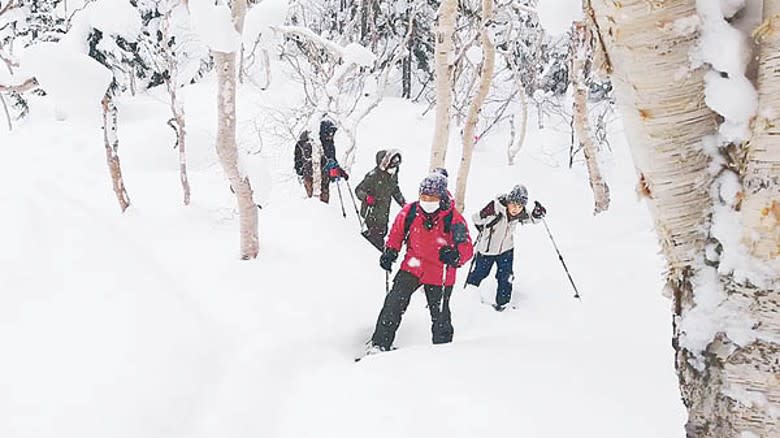 落雪期間也會有人登山觀風景。（十勝岳觀光協會圖片）