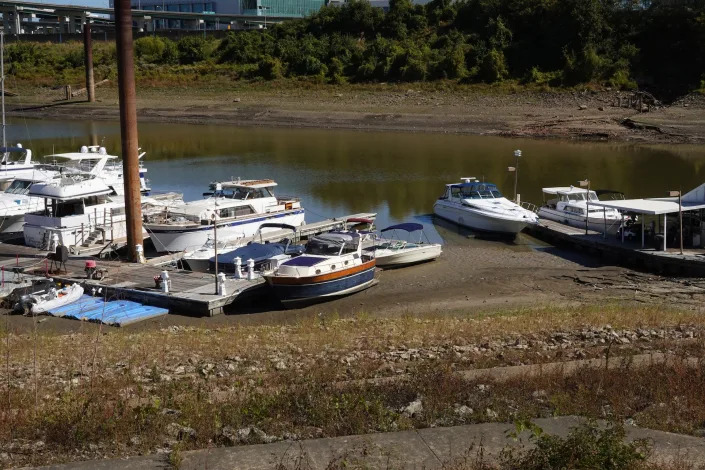 dock full of boats sits on mud with river waters receding in the background