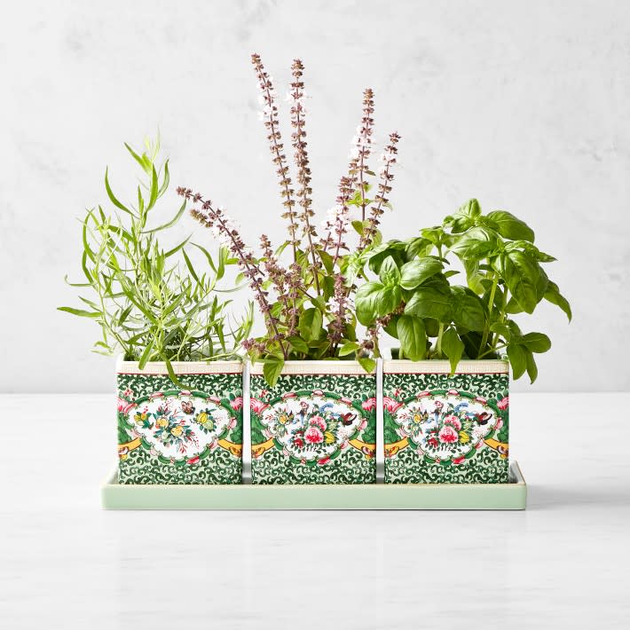 <p><a href="https://go.redirectingat.com?id=74968X1596630&url=https%3A%2F%2Fwww.williams-sonoma.com%2Fproducts%2Ffamille-rose-herb-planter-with-tray&sref=https%3A%2F%2Fwww.bestproducts.com%2Flifestyle%2Fg60199546%2Fgrandmacore-gifts%2F" rel="nofollow noopener" target="_blank" data-ylk="slk:Shop Now;elm:context_link;itc:0;sec:content-canvas" class="link ">Shop Now</a></p><p>Famille Rose Herb Planter with Tray (Set of 3)</p><p>williams-sonoma.com</p><p>$79.95</p>