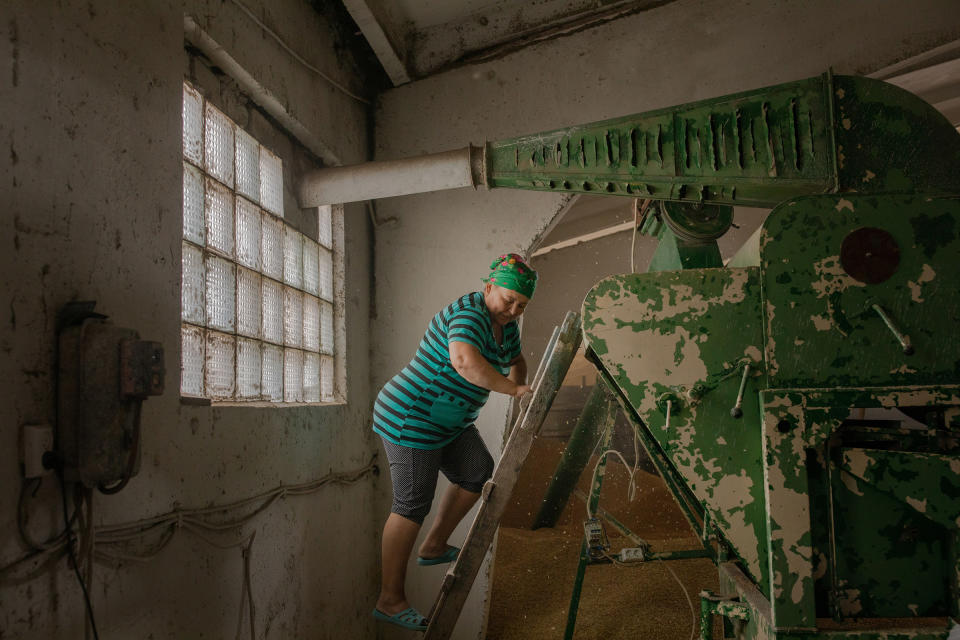 One of Nadia’s employees works at a machine which cleans and separates grain in Mykolaiv on July 19.<span class="copyright">Natalie Keyssar</span>