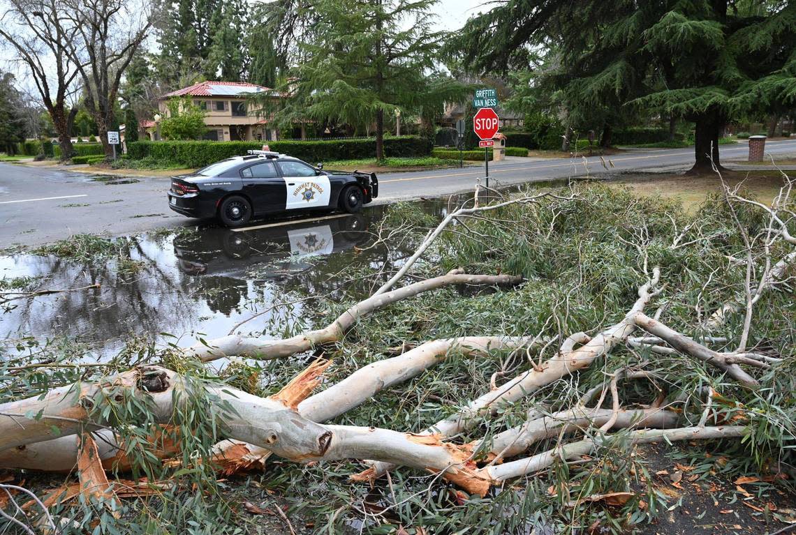 A large eucalptus branch blocks E. Griffith Way just east of N. Van Ness Ave. as high winds create problems Tuesday, March 21, 2023 in Fresno.