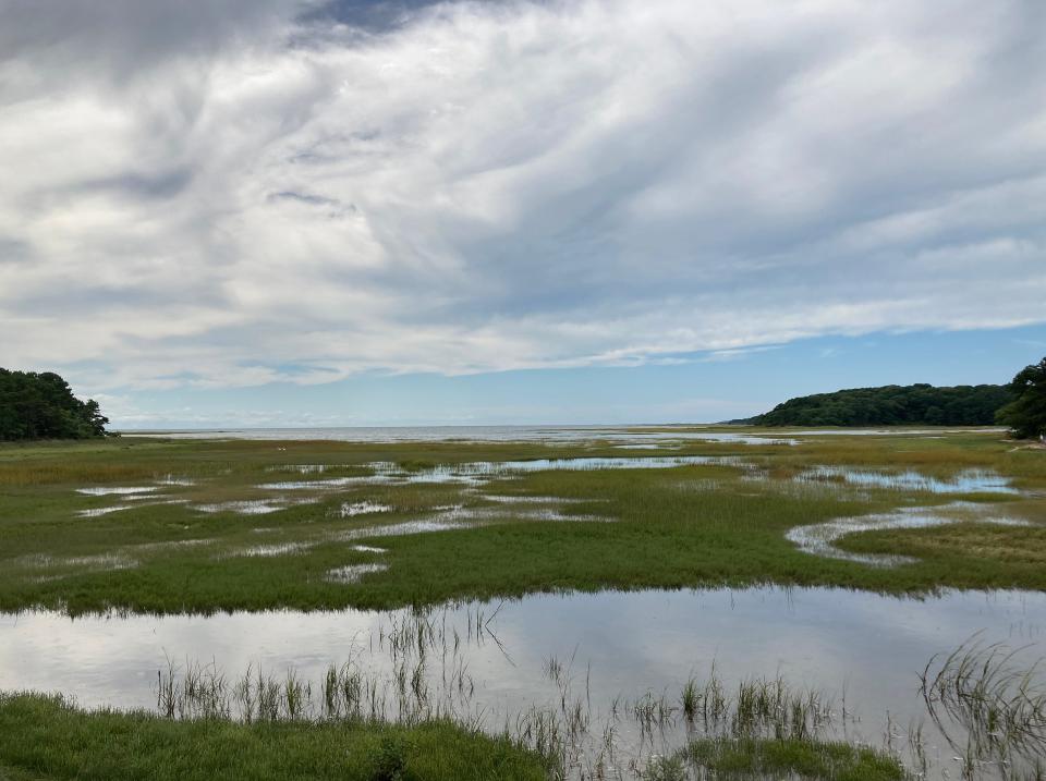 The vista along the Bay View Trail at the Mass Audubon Wellfleet Bay Wildlife Sanctuary.