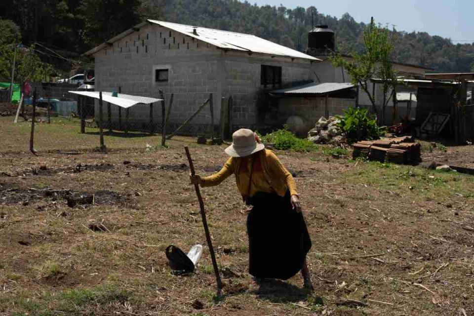 La economía de América Latina y el Caribe sufrirá una desaceleración en 2024, según el FMI. Foto: Cuartoscuro