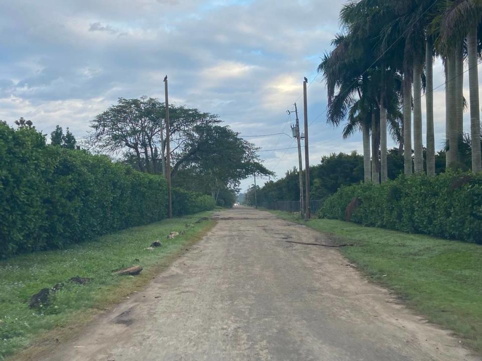 Overcast skies cover the rural SW 194th Avenue in the Redland agriculture district of southwest Miami-Dade County Monday, Feb. 5, 2024. A Cuban migrant was wounded by gunfire in the area Thursday, Feb. 1, 2024, according to law enforcement sources.