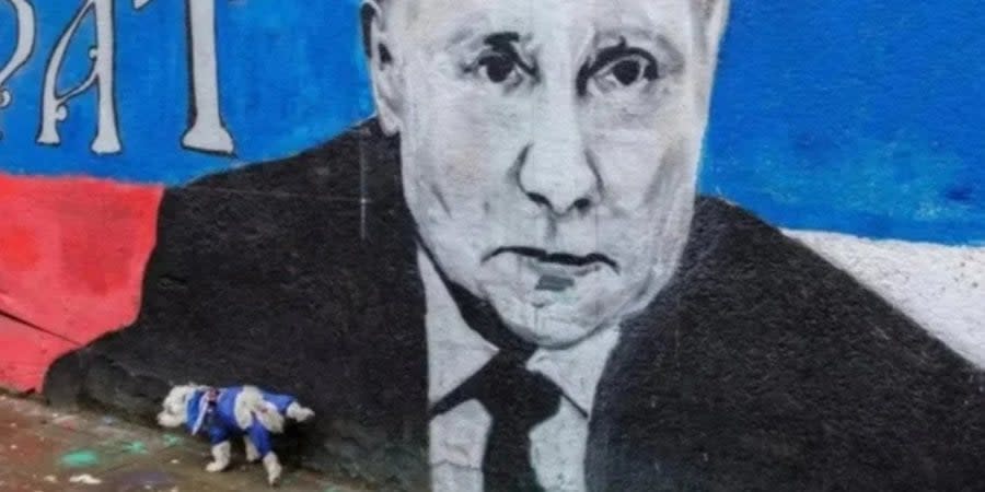 A dog urinates on a wall with a picture of Putin. Serbia, April 2, 2022