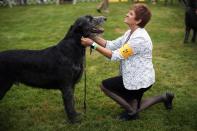 The 145th Westminster Kennel Club Dog Show at Lyndhurst Mansion in Tarrytown, New York