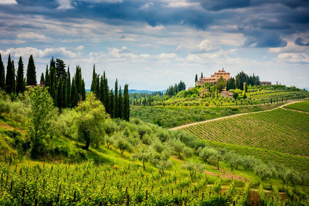 Tuscany is famous for its rolling green hills  (Getty/iStock)