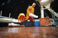 Francesco, right, and Francesco Di Bartolomeo, select fish aboard the trawler Marianna, during a fishing trip in the Tyrrhenian Sea, early Thursday morning, April 2, 2020. Italy’s fishermen still go out to sea at night, but not as frequently in recent weeks since demand is down amid the country's devastating coronavirus outbreak. For one night, the Associated Press followed Pasquale Di Bartolomeo and his crew consisting of his brother Francesco and another fishermen, also called Francesco, on their trawler Marianna. (AP Photo/Andrew Medichini)