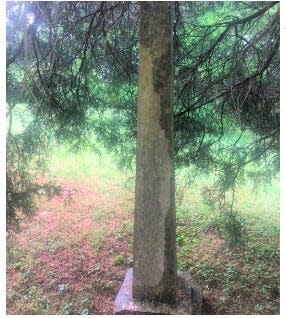 Collins Roberts is buried under a cedar tree in the Robertsville Baptist Church Graveyard.