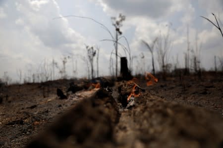 A burning tract of Amazon jungle is pictured in Porto Velho