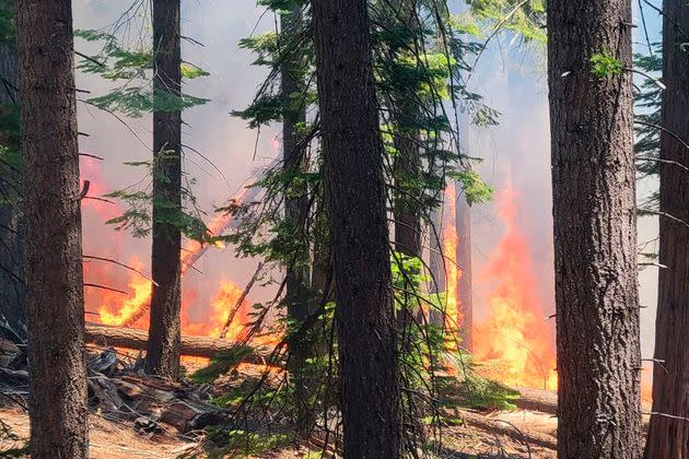 The Washburn Fire burns near the lower portion of the Mariposa Grove in Yosemite National Park, Calif., July 7, 2022. (National Park Service via AP) (Photo: via Associated Press)