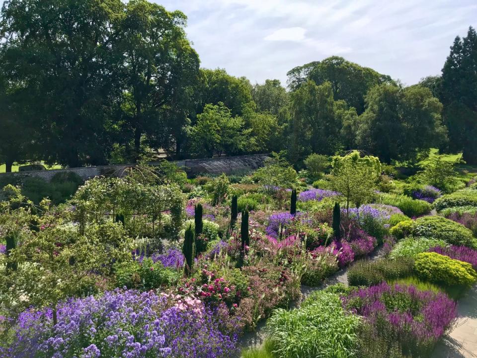 The gardens at Middleton Lodge (Rebecca Allison)