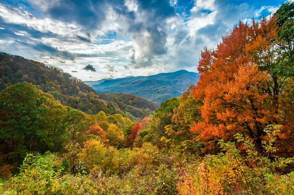 Fall is already well underway along the Blue Ridge Parkway, which runs 470 miles through North Carolina and Virginia.