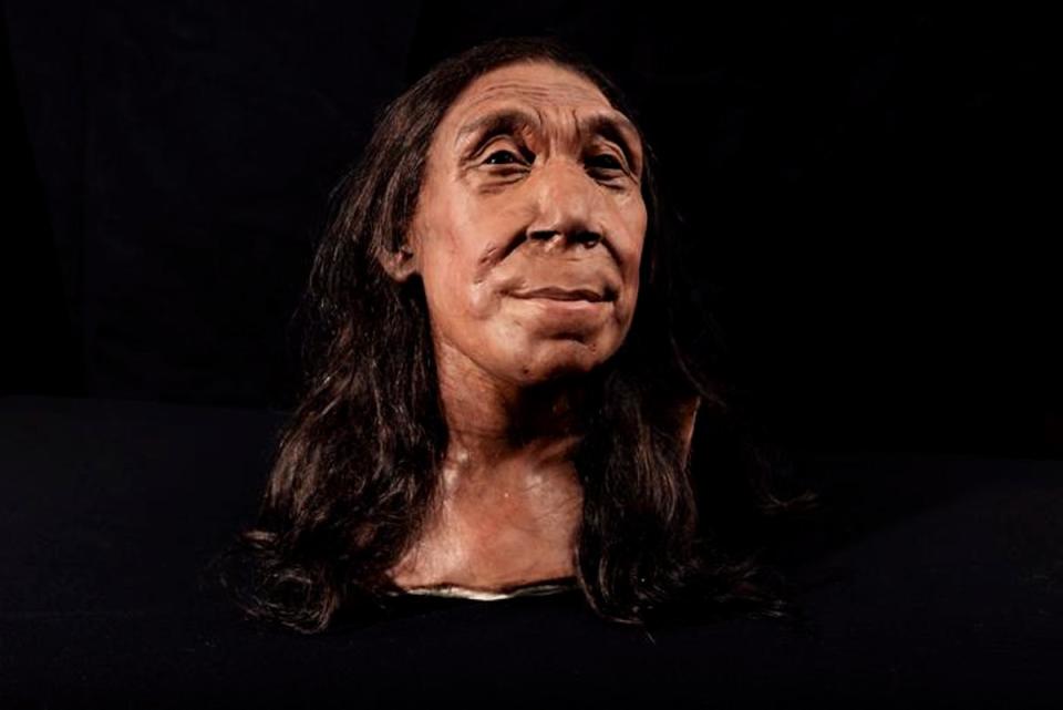 The recreated head of Neanderthal woman ‘Shanidar Z’ (Jamie Simonds)