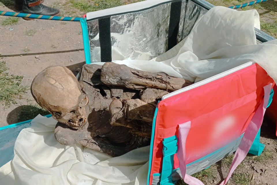 The police is investigating a young man and his friends after they were found with a mummified body, transported in a cooler box. (Peruvian Ministry of Culture)
